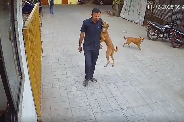 Chó dữ nhảy lên cắn vào vai nam bảo vệ và cái kết - Ảnh 1.