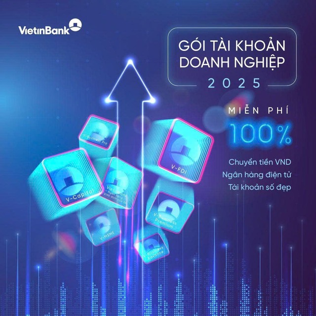 VietinBank mở rộng chính sách ưu đãi phí vượt trội cho Gói tài khoản doanh nghiệp - Ảnh 1.