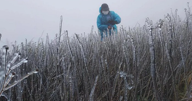 Dự báo thời tiết 14/12: Miền Bắc khả năng có băng giá khi đón đợt không khí lạnh mạnh "lạ thường" - Ảnh 1.