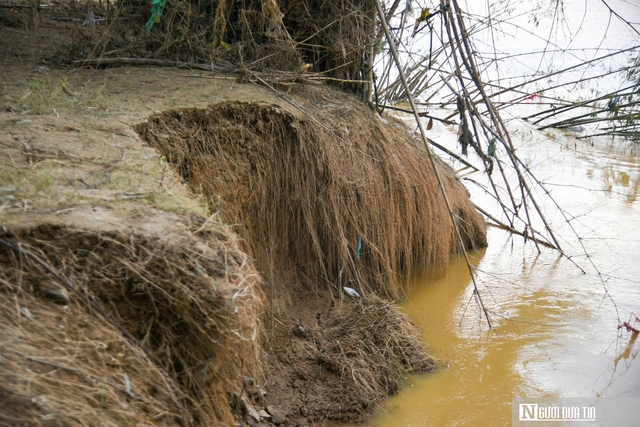 Đà Nẵng: Sạt lở bủa vây, hàng trăm hộ dân sống trong nỗi lo mất đất, mất đường- Ảnh 4. Đà Nẵng: Sạt lở bủa vây, hàng trăm hộ dân sống trong nỗi lo mất đất, mất đường- Ảnh 4.