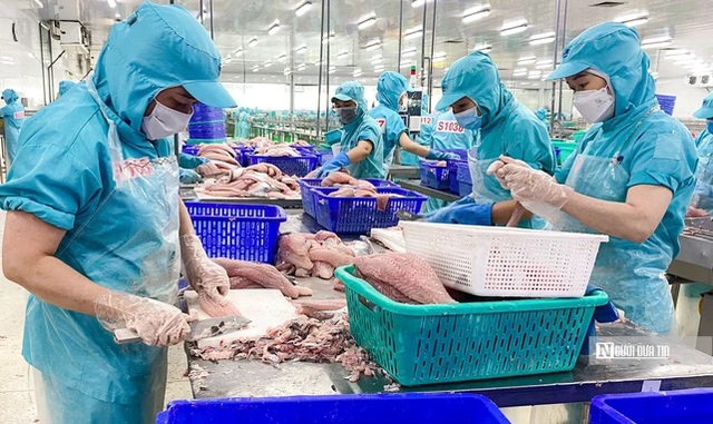 Xuất khẩu cá tra vượt mốc 2 tỷ USD, cơ cấu thị trường thay đổi- Ảnh 1. Xuất khẩu cá tra vượt mốc 2 tỷ USD, cơ cấu thị trường thay đổi- Ảnh 1.