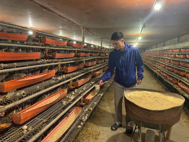 Từ hai bàn tay trắng, chàng trai trẻ trở thành triệu phú nhờ nuôi con "mắn đẻ"- Ảnh 1. Từ hai bàn tay trắng, chàng trai trẻ trở thành triệu phú nhờ nuôi con "mắn đẻ"- Ảnh 1.