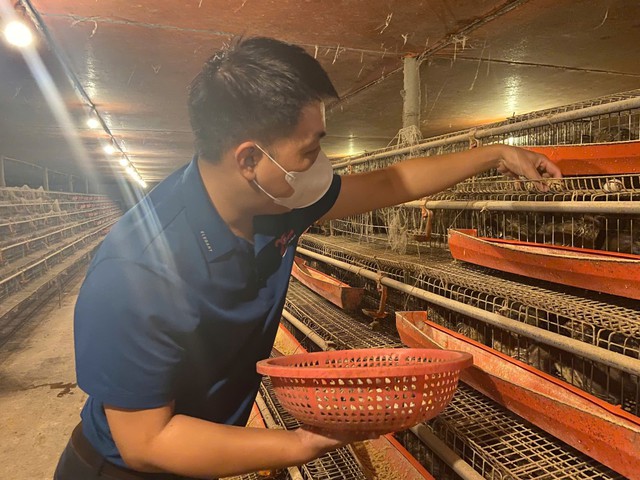 Từ hai bàn tay trắng, chàng trai trẻ trở thành triệu phú nhờ nuôi con "mắn đẻ"- Ảnh 3. Từ hai bàn tay trắng, chàng trai trẻ trở thành triệu phú nhờ nuôi con "mắn đẻ"- Ảnh 3.