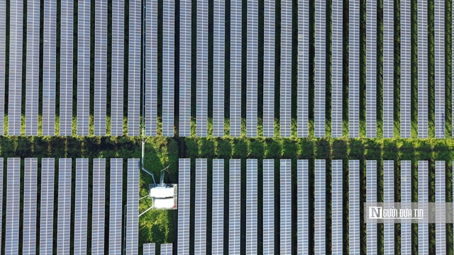 Cận cảnh “rừng pin” mặt trời trên hồ Dầu Tiếng - Ảnh 4.