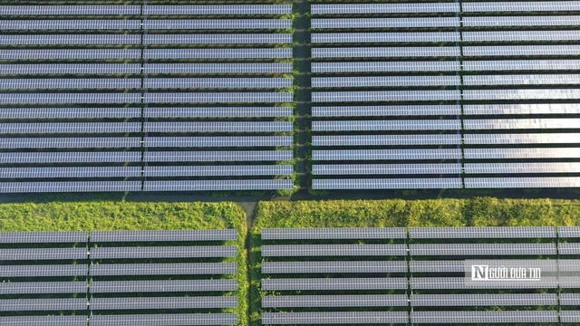 Cận cảnh “rừng pin” mặt trời trên hồ Dầu Tiếng - Ảnh 5.