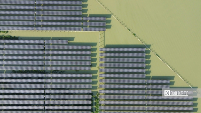 Cận cảnh “rừng pin” mặt trời trên hồ Dầu Tiếng - Ảnh 8.