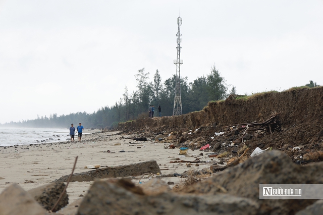 B&atilde;i tắm đẹp nhất Quảng Ng&atilde;i trước nguy cơ bị "x&oacute;a sổ" do triều cường v&agrave; x&acirc;m thực- Ảnh 3.