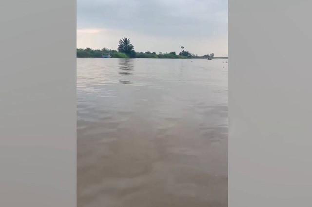 Đang rửa quả cọ, người đàn ông bị thứ đáng sợ cắn tử vong trên sông - Ảnh 1.