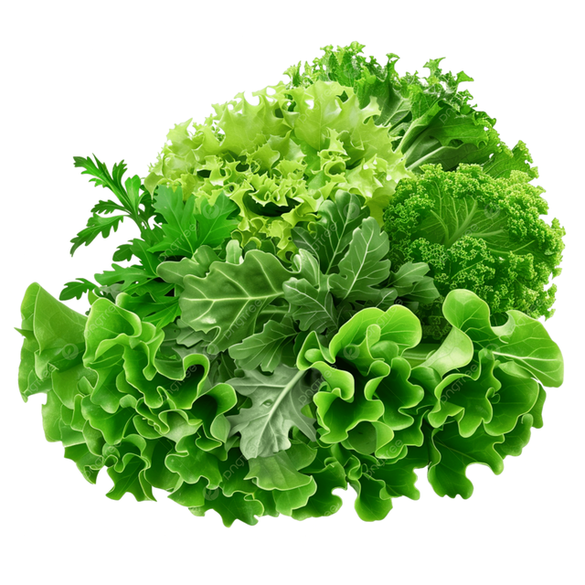 Loại rau được đ&aacute;nh gi&aacute; "tốt bậc nhất thế giới", ho&aacute; ra l&agrave; rau b&igrave;nh d&acirc;n rẻ b&egrave;o ở Việt Nam - Ảnh 3.