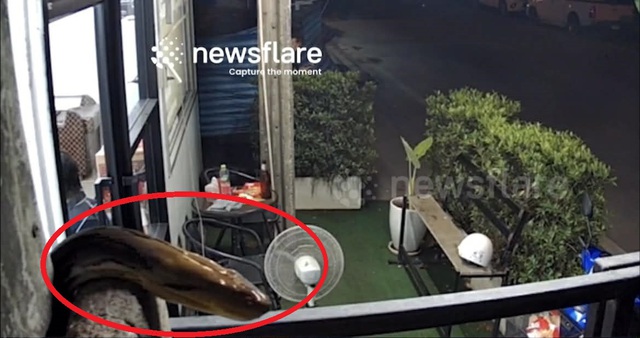 Nghe hàng xóm gọi rất to, người phụ nữ nhìn ra cửa sổ thấy cảnh tượng "nổi da gà" - Ảnh 1.