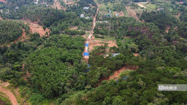 Năm 2026, thiết lập v&agrave; vận h&agrave;nh s&agrave;n giao dịch carbon trong nước - Ảnh 1.