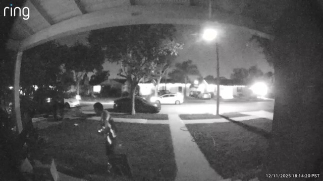 Xem camera, người phụ nữ sốc nặng khi thấy hành động của shipper - Ảnh 1.