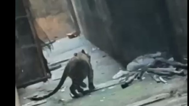 B&aacute;o đốm x&ocirc;ng v&agrave;o khu d&acirc;n cư, l&agrave;m 3 người bị thương - Ảnh 1.