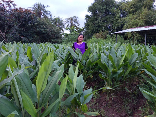 L&aacute; nghệ bị bỏ đi th&agrave;nh "ch&igrave;a kh&oacute;a" khởi nghiệp của thạc sĩ h&oacute;a học- Ảnh 2.