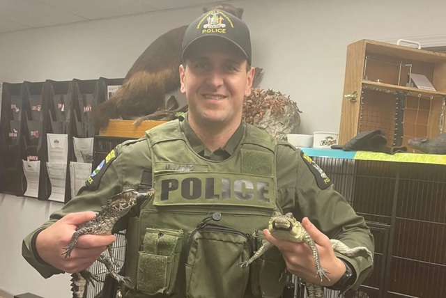 Đi bắt tội phạm, cảnh s&aacute;t ph&aacute;t hiện thứ đ&aacute;ng sợ trong ng&ocirc;i nh&agrave; - Ảnh 1.