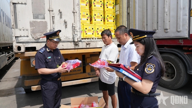 Ngăn chặn c&aacute;c vụ việc vi phạm về xuất xứ h&agrave;ng h&oacute;a, ghi nh&atilde;n h&agrave;ng h&oacute;a - Ảnh 1.