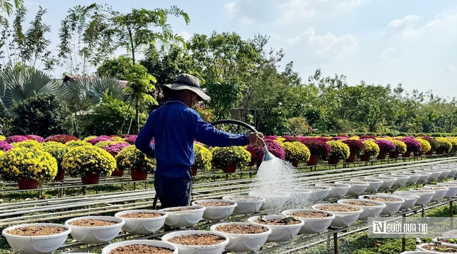 Hơi thở lễ hội ngập tr&agrave;n &ldquo;thủ phủ" hoa miền T&acirc;y- Ảnh 3.