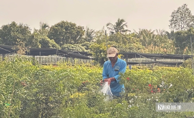 Hơi thở lễ hội ngập tr&agrave;n &ldquo;thủ phủ" hoa miền T&acirc;y- Ảnh 5.