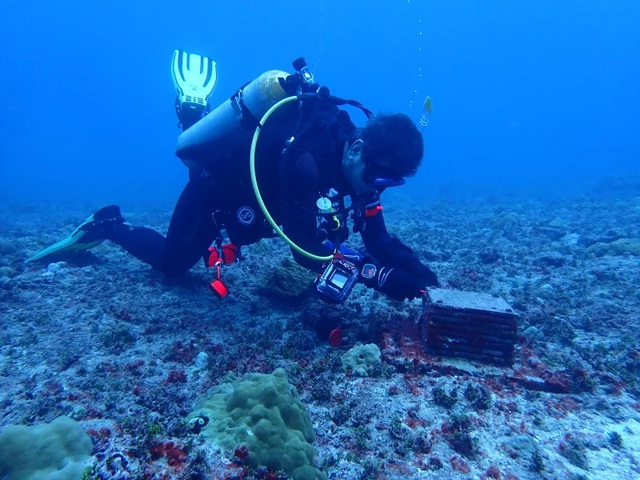 20 lo&agrave;i mới được ph&aacute;t hiện - Ảnh 2.