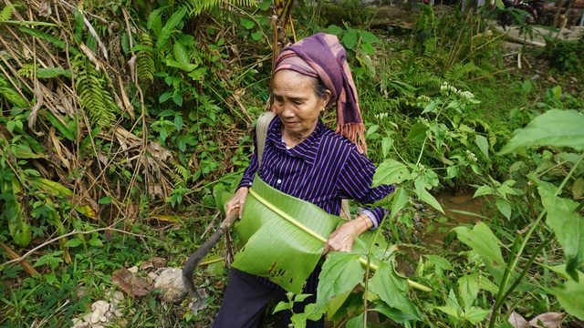 Trao "cần c&acirc;u" cho hộ ngh&egrave;o v&ugrave;ng cao: Những con tr&acirc;u mang theo hy vọng tho&aacute;t ngh&egrave;o - Ảnh 2.