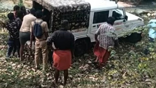 V&agrave;o rừng nhặt củi, người đ&agrave;n &ocirc;ng bị hổ dữ vồ tử vong - Ảnh 1.