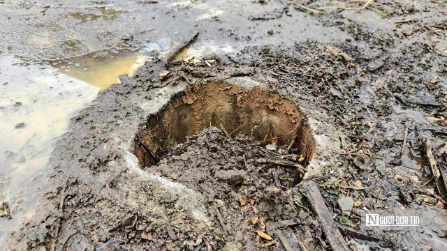 Khu bảo tồn văn h&oacute;a 10,5 tỷ ở Quảng Ng&atilde;i xuống cấp trầm trọng, phải th&aacute;o dỡ v&igrave; lo... sập- Ảnh 2.