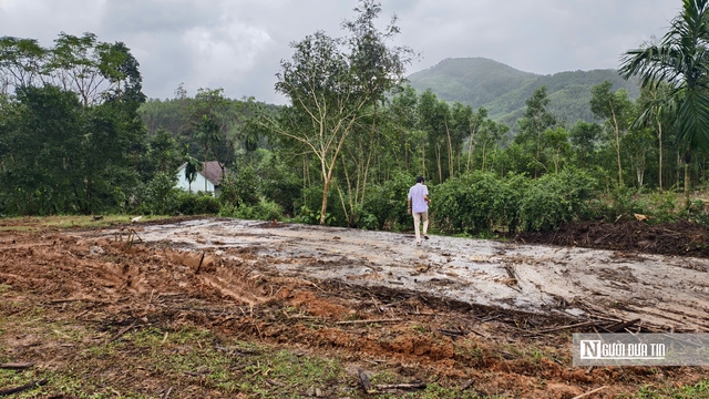 Khu bảo tồn văn h&oacute;a 10,5 tỷ ở Quảng Ng&atilde;i xuống cấp trầm trọng, phải th&aacute;o dỡ v&igrave; lo... sập- Ảnh 4.