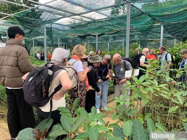 Kh&ocirc;ng resort, kh&ocirc;ng h&agrave;o nho&aacute;ng, l&agrave;ng qu&ecirc; h&uacute;t kh&aacute;ch ở Đ&agrave; Nẵng- Ảnh 3.