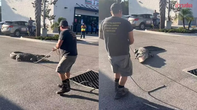 Đang đi đường, người d&acirc;n ph&aacute;t hiện cảnh tượng "nổi da g&agrave;" - Ảnh 1.