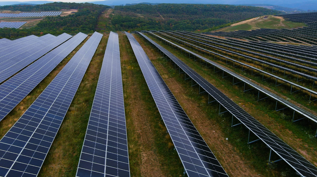 Nh&agrave; m&aacute;y điện mặt trời 160 MW &ldquo;mọc&rdquo; ở nơi kh&ocirc;ng ngờ - Ảnh 1.