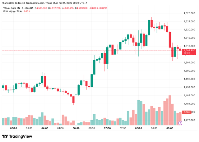 Gi&aacute; v&agrave;ng h&ocirc;m nay 24/12: - Ảnh 1.