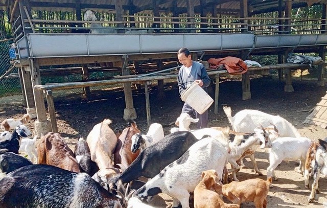 Chính sách tín dụng ưu đãi ở Thái Nguyên – Điểm tựa tài chính cho hành trình thoát nghèo bền vững - Ảnh 1.