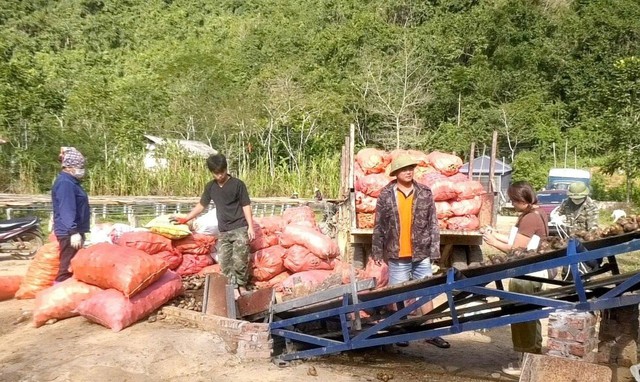 Liên kết "3 nhà": Chìa khóa vàng cho giảm nghèo bền vững tại Thái Nguyên - Ảnh 1.