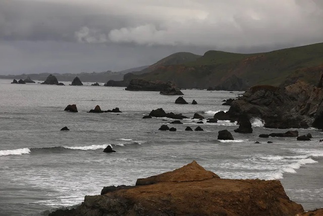 Kinh ho&agrave;ng "Tam gi&aacute;c Đỏ": C&aacute; mập trắng tấn c&ocirc;ng người lướt s&oacute;ng - Ảnh 1.