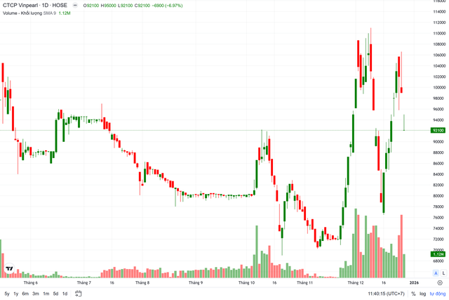 Vinpearl bổ nhiệm t&acirc;n Tổng Gi&aacute;m đốc- Ảnh 2.