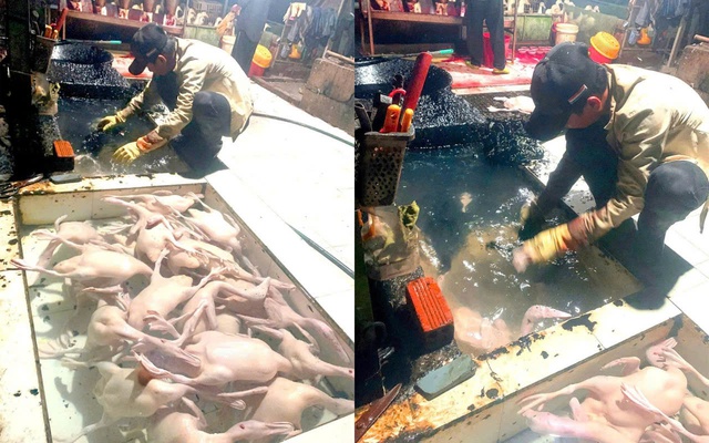 Dung dịch &ldquo;b&iacute; ẩn&rdquo; trong l&ograve; giết mổ chui: Hiểm họa an to&agrave;n thực phẩm trước Tết- Ảnh 2.