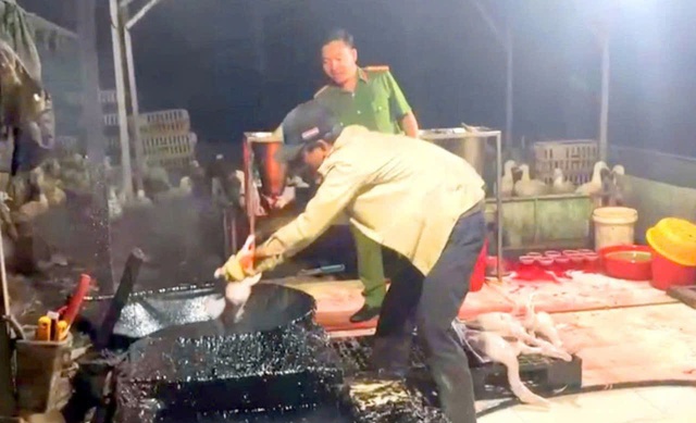 Dung dịch &ldquo;b&iacute; ẩn&rdquo; trong l&ograve; giết mổ chui: Hiểm họa an to&agrave;n thực phẩm trước Tết- Ảnh 1.