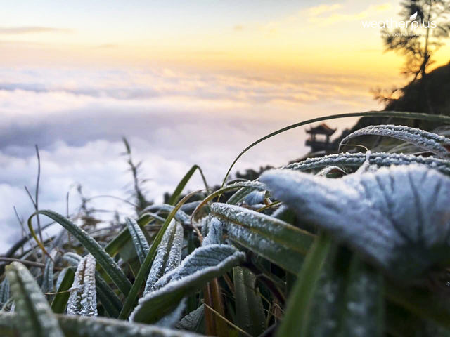 Miền Bắc rét dưới 12 độ, dự báo mùa đông sẽ khắc nghiệt - Ảnh 1.