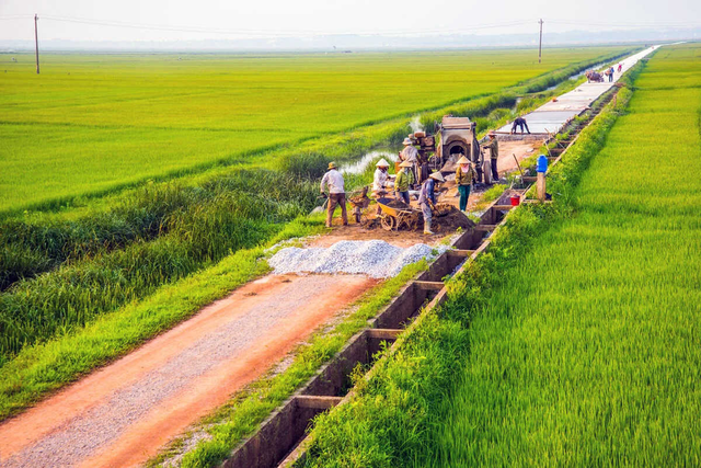 Ngành Nông nghiệp và Môi trường khép lại năm 2025 với những kỷ lục mới - Ảnh 2.
