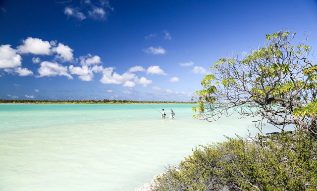 Sự thật th&uacute; vị về nơi đ&oacute;n năm mới 2026 sớm nhất - Ảnh 1.