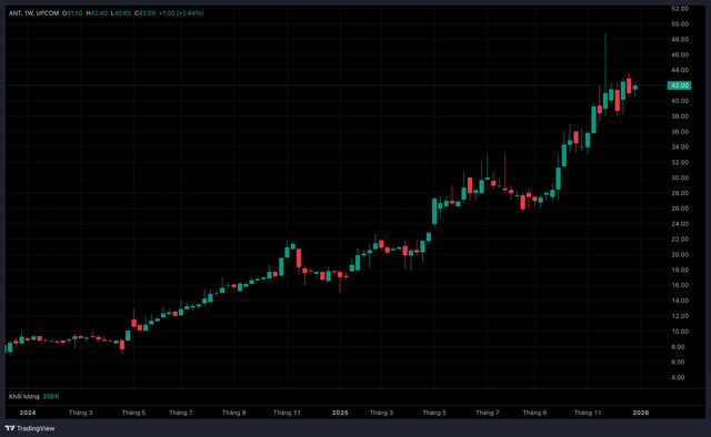 Cổ phiếu của Antesco được chấp thuận ni&ecirc;m yết tr&ecirc;n HoSE - Ảnh 1.