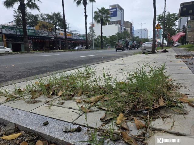 Vỉa hè lát đá nghìn tỷ đồng vừa xong đã gập ghềnh, Đà Nẵng chỉ đạo rà soát, xử lý dứt điểm- Ảnh 5.