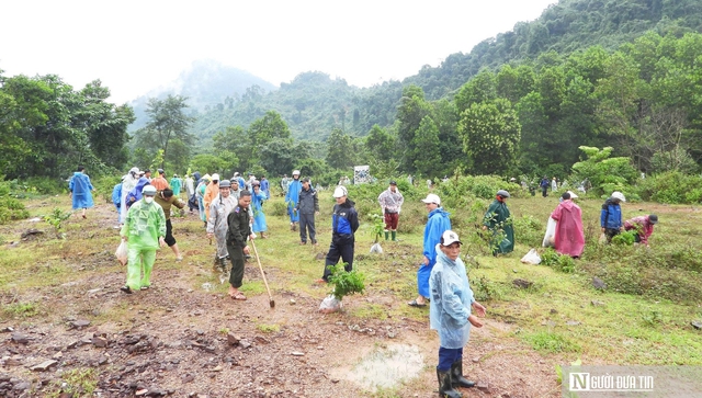 1 tỷ cây xanh và cuộc đổi mới âm thầm ở nông thôn Việt Nam- Ảnh 2.