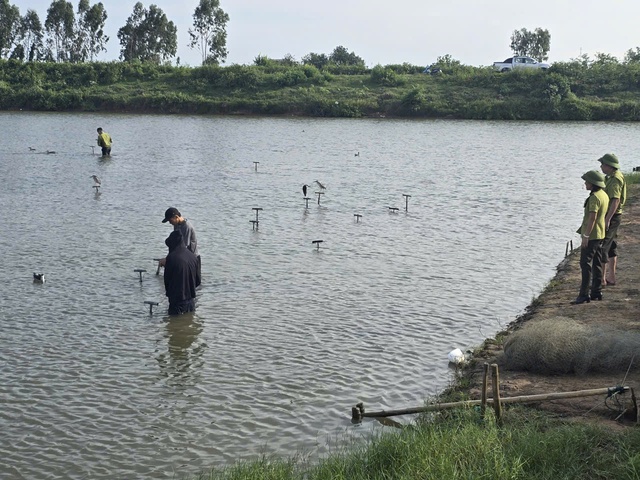 Mang lại bình yên cho những cánh chim trời mùa di trú- Ảnh 8. Mang lại bình yên cho những cánh chim trời mùa di trú- Ảnh 8.