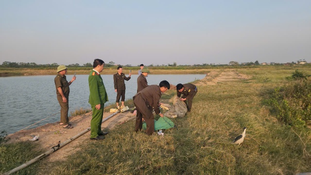 Mang lại bình yên cho những cánh chim trời mùa di trú- Ảnh 2. Mang lại bình yên cho những cánh chim trời mùa di trú- Ảnh 2.