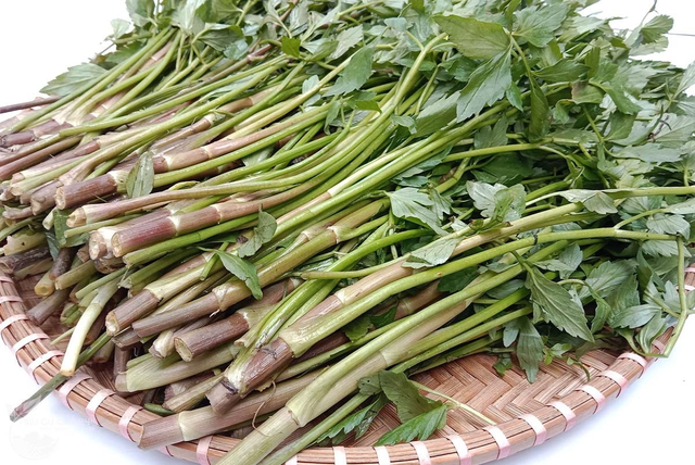 2 loại rau “khoái khẩu” mùa lạnh dễ thành ổ sán, nhất cái số 1 ngoài chợ bán nhiều - Ảnh 2.