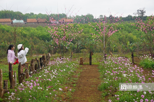 Vĩnh Sơn đang trở thành 