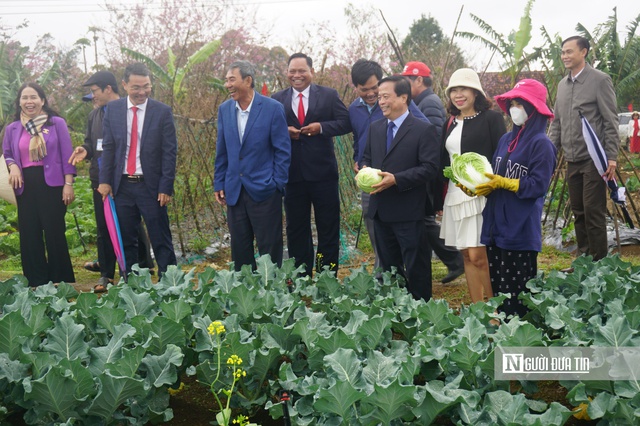 Vùng rau ôn đới của người dân ở địa phương. Ảnh: Thu Dịu