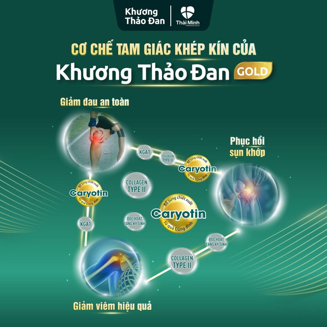 Khương Thảo Đan Gold - Sản phẩm xương khớp hiệu quả số 1 Việt Nam- Ảnh 3.