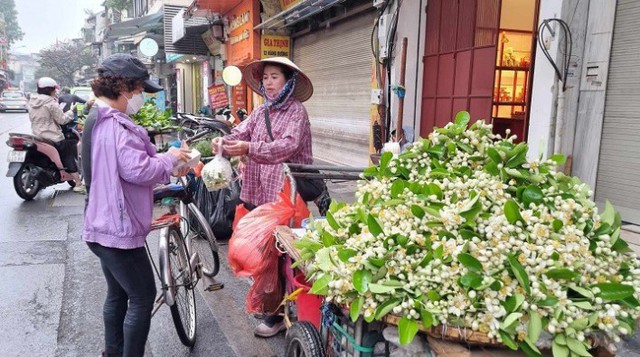 Bán hoa bưởi, thu nhập tiền triệu mỗi ngày- Ảnh 3.